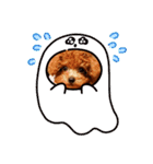 プードル犬マロン3（個別スタンプ：23）