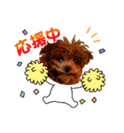 プードル犬マロン3（個別スタンプ：25）