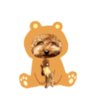 プードル犬マロン3（個別スタンプ：30）