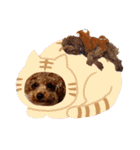 プードル犬マロン3（個別スタンプ：31）