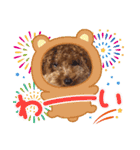 プードル犬マロン3（個別スタンプ：32）