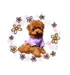 プードル犬マロン3（個別スタンプ：38）
