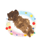 プードル犬マロン3（個別スタンプ：39）