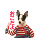 チワピンのもちこ（個別スタンプ：12）