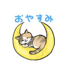 三毛猫のルナ（個別スタンプ：2）