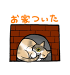 三毛猫のルナ（個別スタンプ：11）