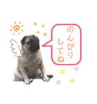 パグの楽とお友だちのご近所物語（個別スタンプ：18）
