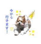 パグの楽とお友だちのご近所物語（個別スタンプ：23）