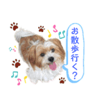 パグの楽とお友だちのご近所物語（個別スタンプ：24）