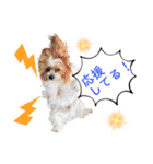 パグの楽とお友だちのご近所物語（個別スタンプ：26）