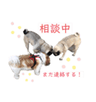 パグの楽とお友だちのご近所物語（個別スタンプ：28）