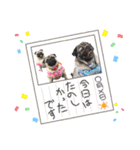 パグの楽とお友だちのご近所物語（個別スタンプ：31）