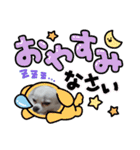 チワワの琥珀（個別スタンプ：9）