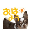 あたち千代子（個別スタンプ：3）