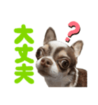 あたち千代子（個別スタンプ：5）