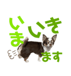 あたち千代子（個別スタンプ：7）