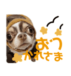 あたち千代子（個別スタンプ：8）