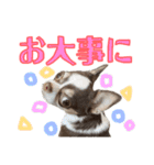 あたち千代子（個別スタンプ：9）