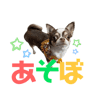 あたち千代子（個別スタンプ：11）