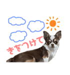 あたち千代子（個別スタンプ：12）
