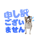 あたち千代子（個別スタンプ：13）