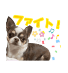 あたち千代子（個別スタンプ：14）