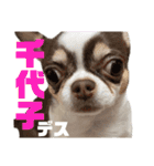 あたち千代子（個別スタンプ：16）