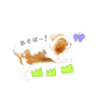 キャバリア✳︎COCO（個別スタンプ：3）