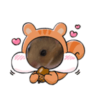 ハムスターのゆーちゃんスタンプ（個別スタンプ：1）