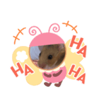 ハムスターのゆーちゃんスタンプ（個別スタンプ：8）