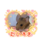 ハムスターのゆーちゃんスタンプ（個別スタンプ：12）