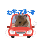 ハムスターのゆーちゃんスタンプ（個別スタンプ：15）