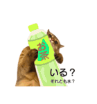 あんこ＆くろすけ（個別スタンプ：35）