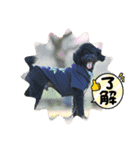 ポポんち（個別スタンプ：7）