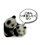 鍼灸パンダ【不調な気持ち】（個別スタンプ：16）