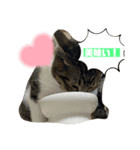 可愛い猫ども（個別スタンプ：2）