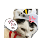 可愛い猫ども（個別スタンプ：3）