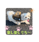 ❤️マルチーズめりる❤️2021②（個別スタンプ：7）