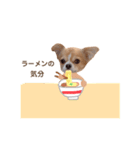 どうも、ちくわです6（個別スタンプ：4）