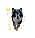 パルとラン（個別スタンプ：7）