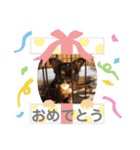 パルとラン（個別スタンプ：14）
