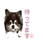 パルとラン（個別スタンプ：24）
