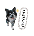 パルとラン（個別スタンプ：31）
