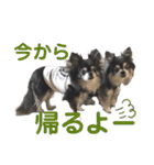 パルとラン（個別スタンプ：38）