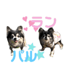 パルとラン（個別スタンプ：39）