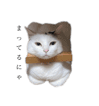 てんぎん物語（個別スタンプ：3）
