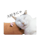 てんぎん物語（個別スタンプ：4）