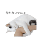 てんぎん物語（個別スタンプ：17）