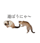 てんぎん物語（個別スタンプ：37）