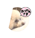 いやしのららまる（個別スタンプ：1）